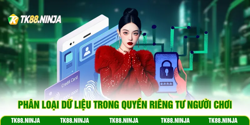 Phân loại dữ liệu trong quyền riêng tư người chơi